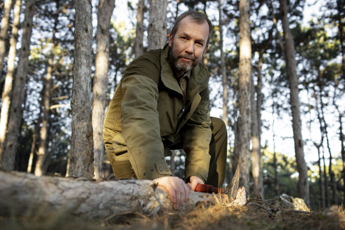 лесник в Норвегии работа в лесу уход за лесными территориями