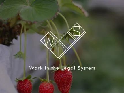 Работа Посадка и сбор клубники Эстония Тартумаа